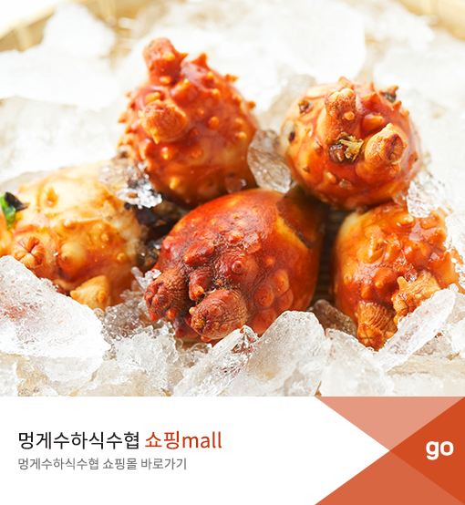 쇼핑몰 바로가기